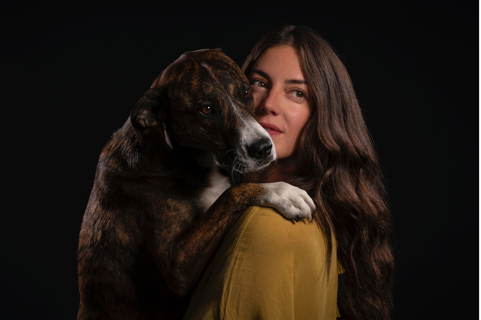 bouldercoloradodogphotographerstudiouniquelighting